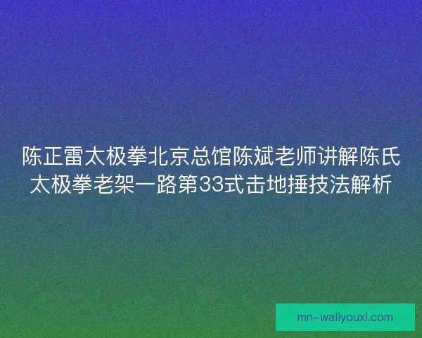 陈正雷太极拳北京总馆陈斌老师讲解陈氏太极拳老架一路第33式击地捶技法解析