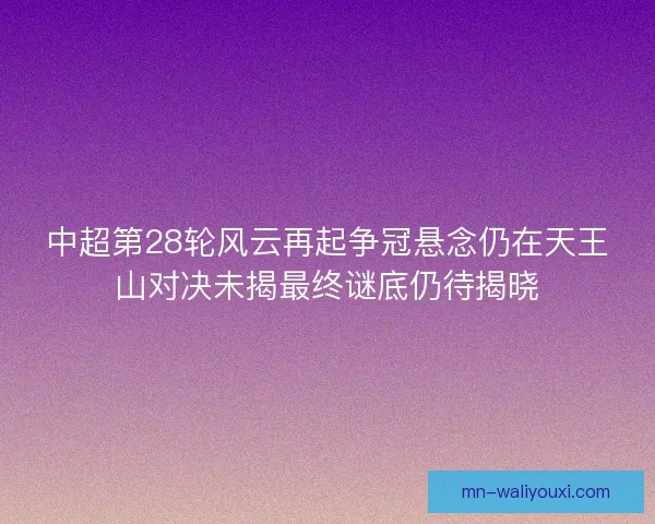 中超第28轮风云再起争冠悬念仍在天王山对决未揭最终谜底仍待揭晓
